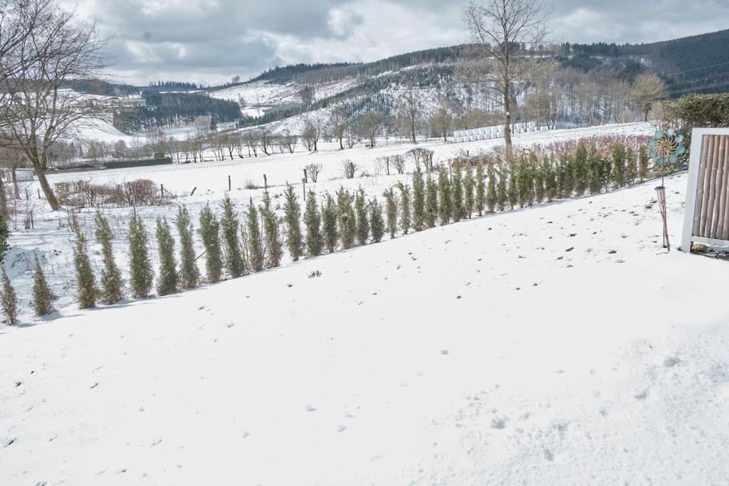 Milana Naturpanorma, Ruhig & Familienfreundlich * Winterberg